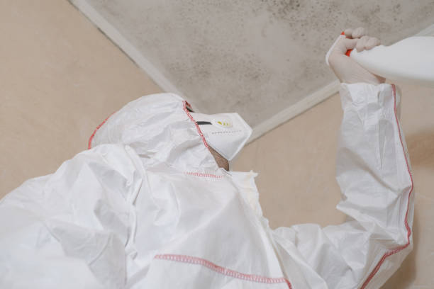 Mold Remediation for Vacation Homes